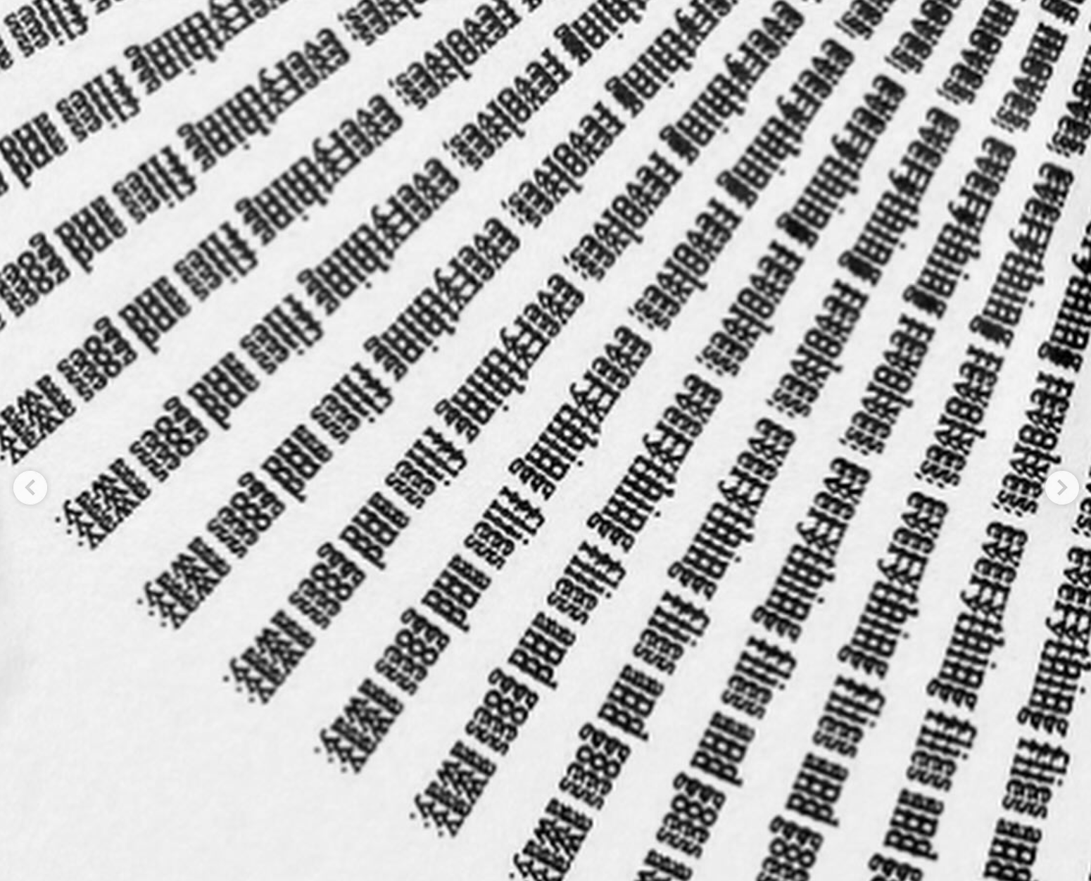 A pattern of visual distortion, deliberately designed to resist easy reading.