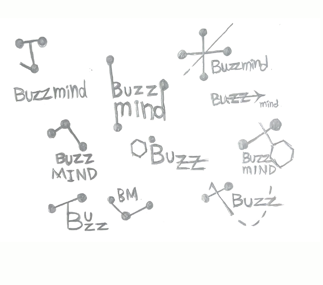 BuzzMind - Collective Intelligence Project 10-3