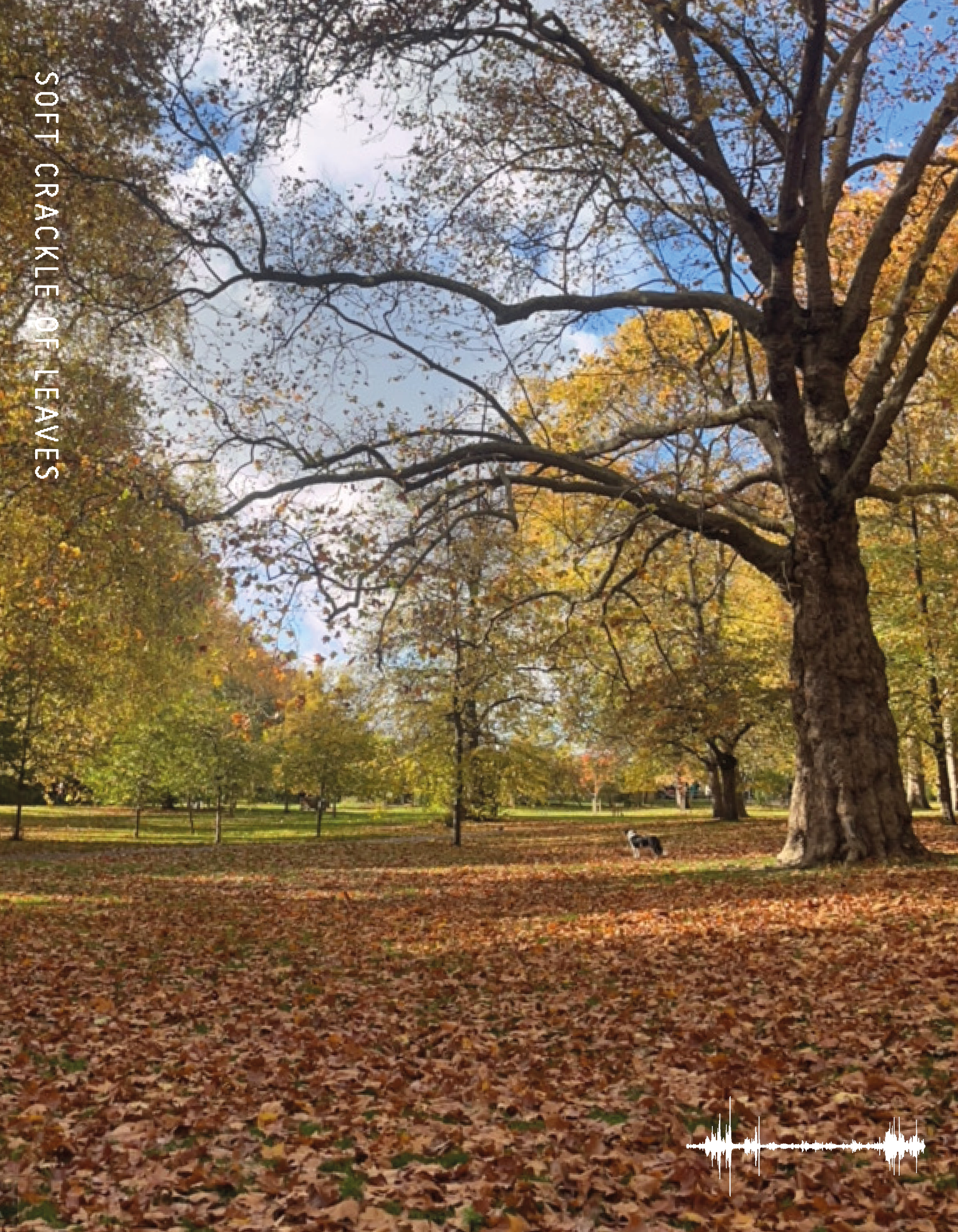 How to Listen to London (City Soundscapes) 10-11